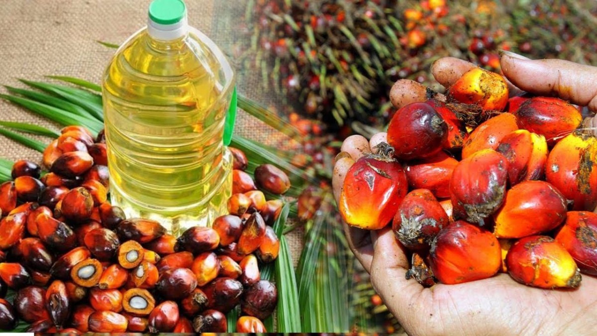 SK-AGRICROPS ENTERPRISES from Tanzania